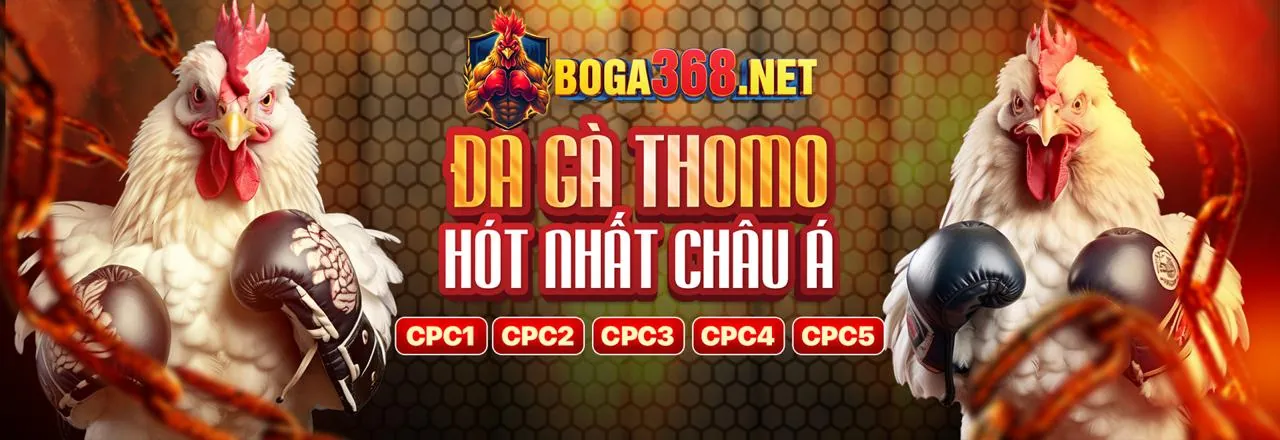 Hướng dẫn bảo vệ người dùng
